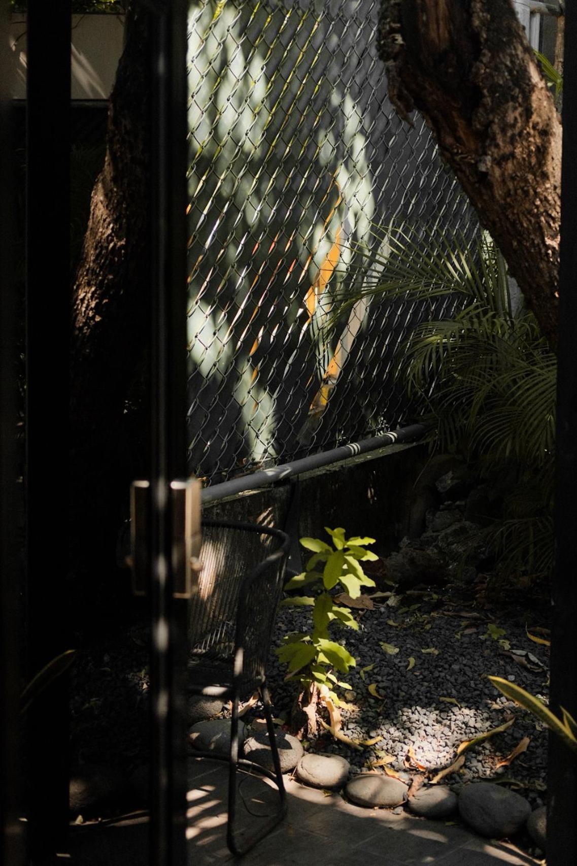 The Cabins ラ・リベルタード 部屋 写真